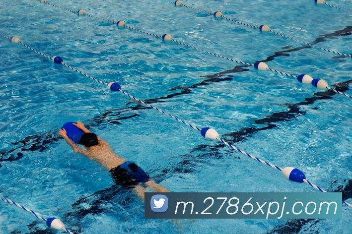 奖项图3
